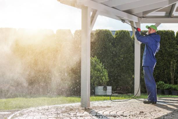 Best Sidewalk and Walkway Cleaning  in Emerson, GA