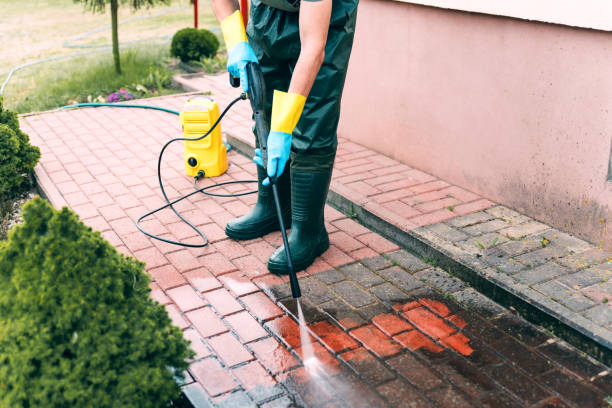 Best Animal Enclosure Cleaning  in Emerson, GA